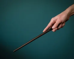 Draco Malfoy Toverstaf