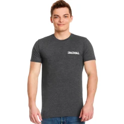 Dragon Ball - Goku T-shirt grijs