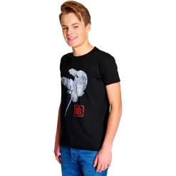 Dragon Ball Z - Muten Roshi Kick T-Shirt Zwart