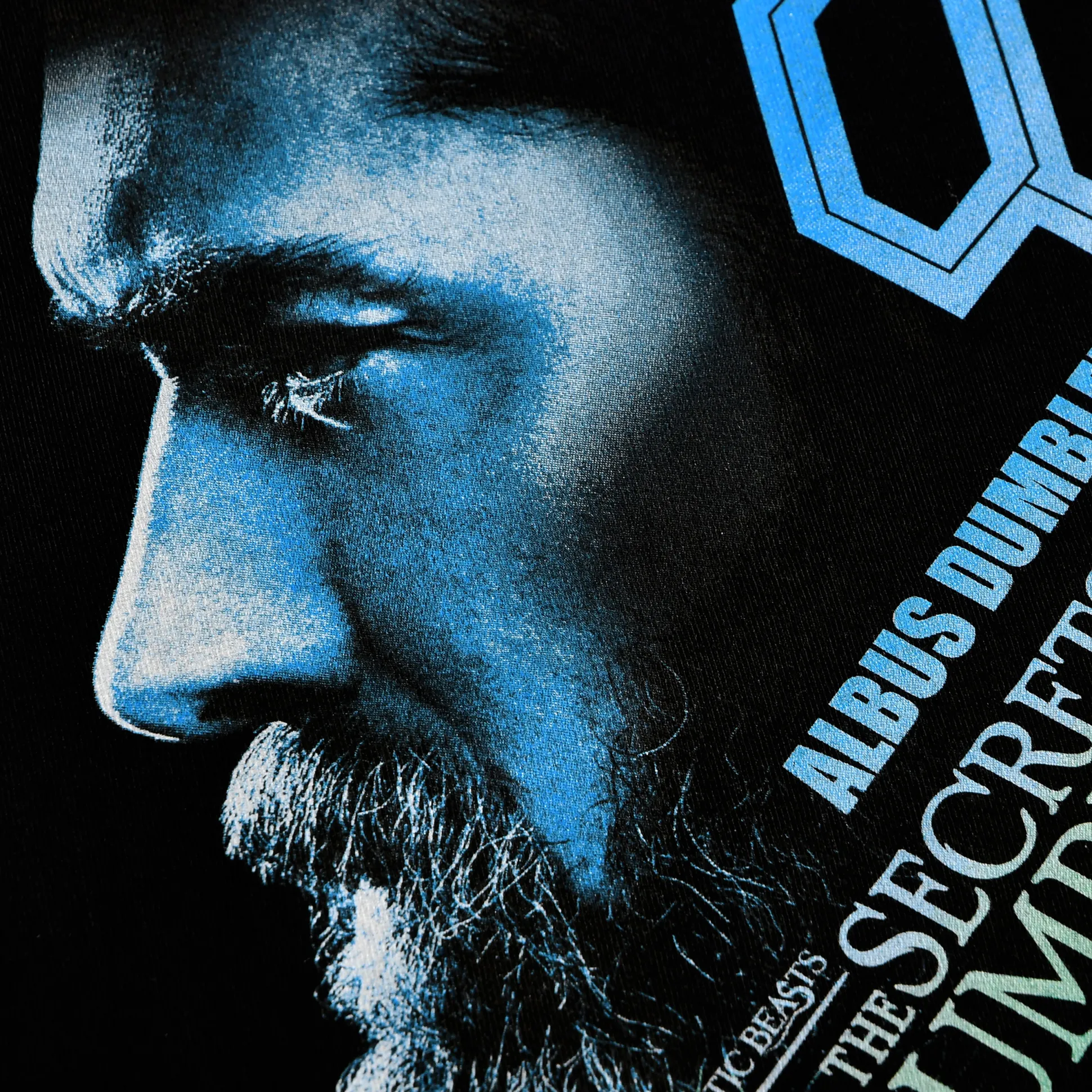 Dumbledore & Grindelwald T-shirt zwart - Fantastische Beesten