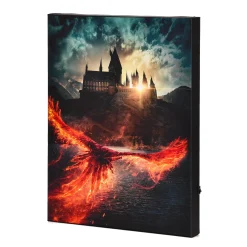 Dumbledore's Secrets Wanddecoratie met Licht - Harry Potter