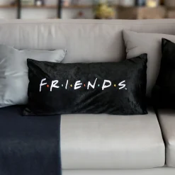Friends - Logo Kussen