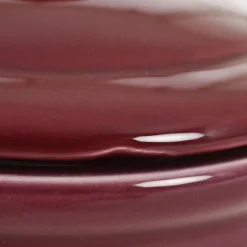 Gryffindor Hogwarts Alumni Koekjestrommel B-Ware - Harry Potter