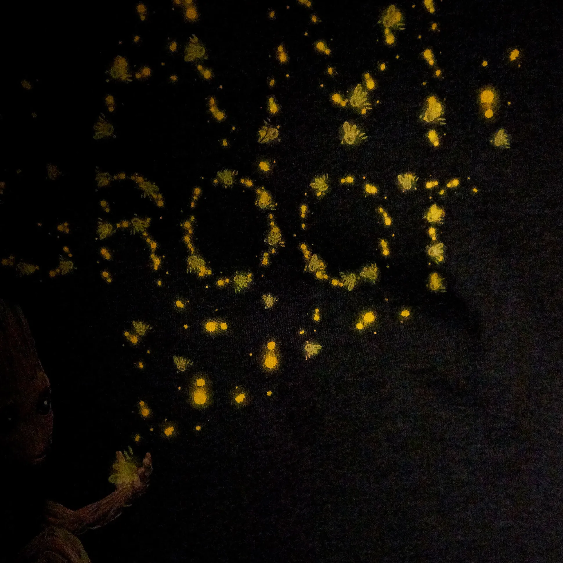 Guardians of the Galaxy - Groot Glow in the Dark Kinder T-shirt Grijs