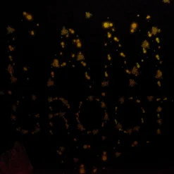 Guardians of the Galaxy - Groot Glow in the Dark Kinder T-shirt Grijs