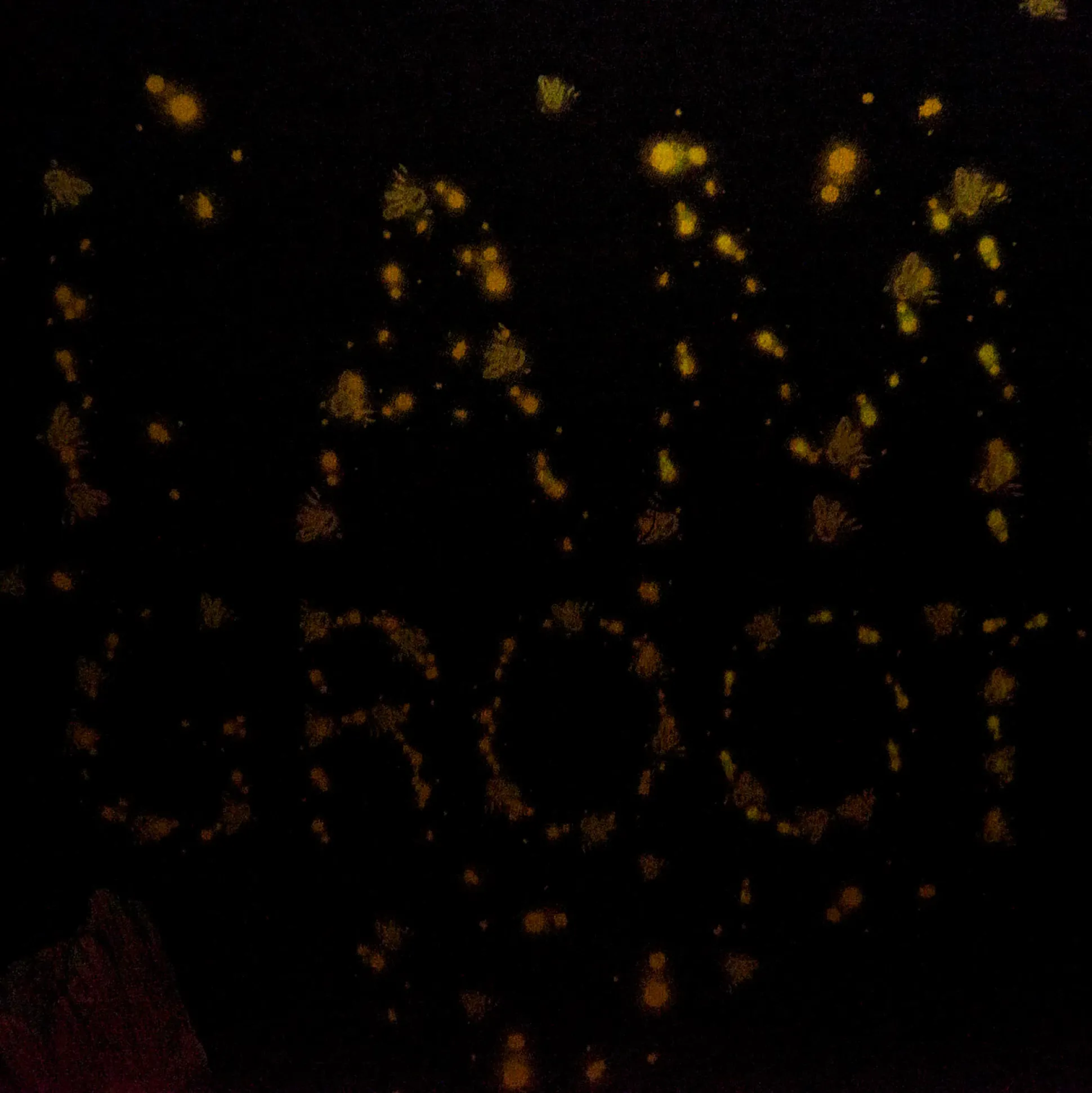 Guardians of the Galaxy - Groot Glow in the Dark Kinder T-shirt Grijs