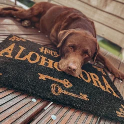 Harry Potter - Alohomora Deurmat