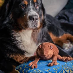 Harry Potter - Chocolade Kikker Kussen met Pluche Figuur