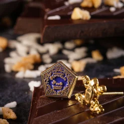 Harry Potter - Chocoladekikker Oorbellen