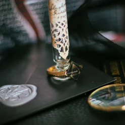 Harry Potter - De Gruziekring