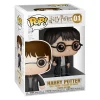 Harry Potter - Funko Pop Figuur