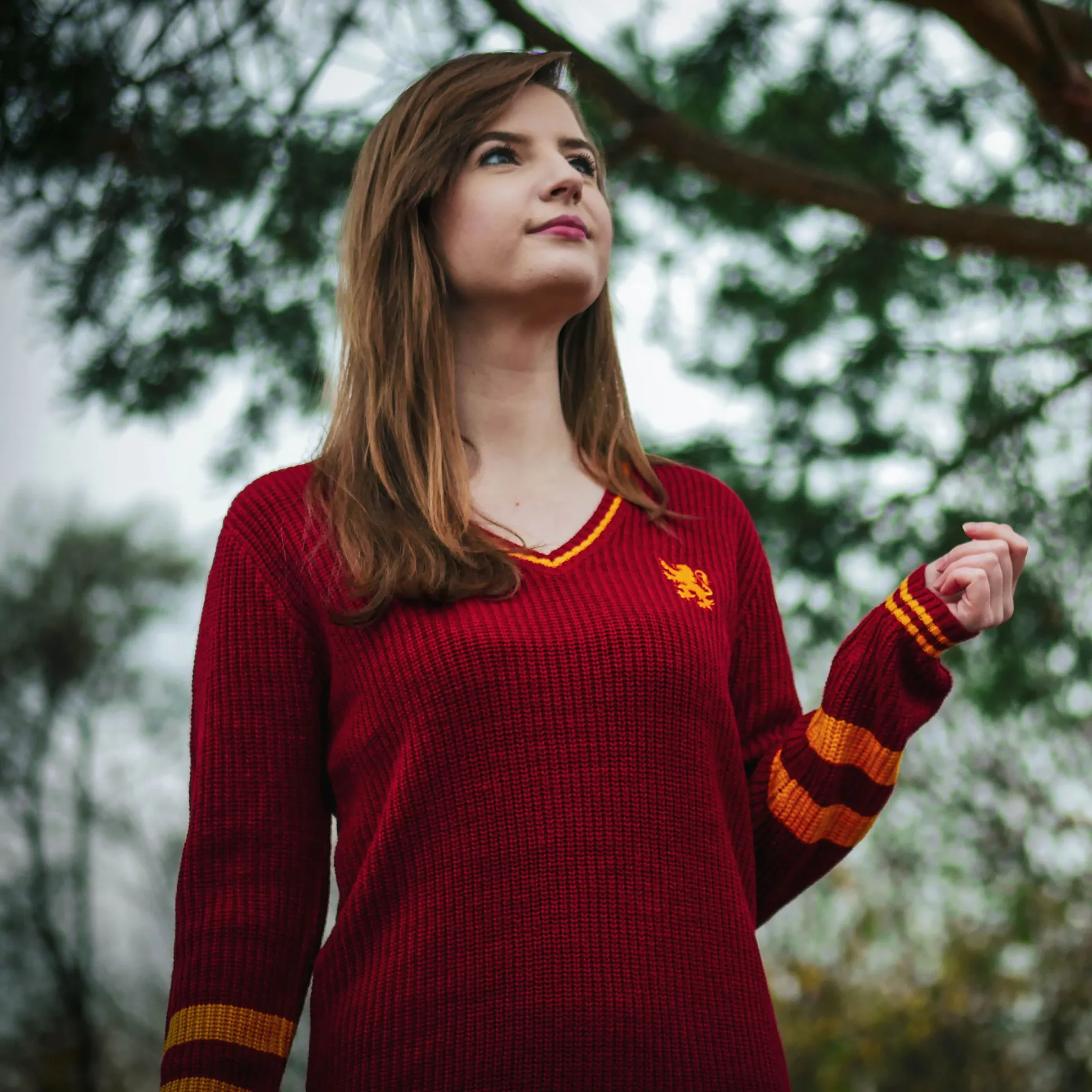 Harry Potter - Griffoendor Gebreide Jurk Rood