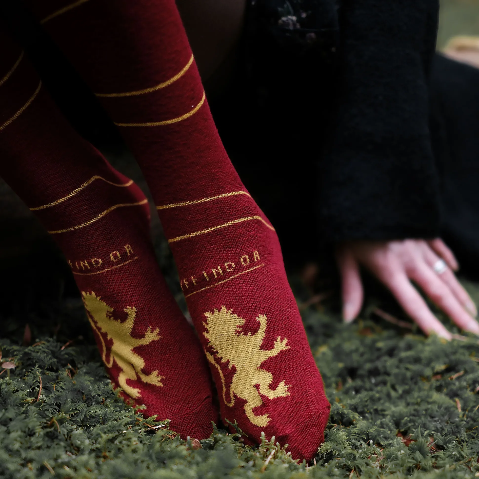 Harry Potter - Griffoendor Overknee Sokken 2-Pack