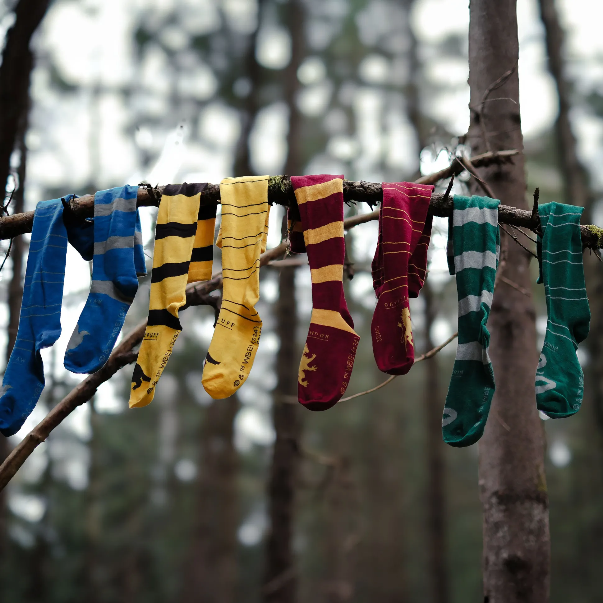 Harry Potter - Griffoendor Overknee Sokken 2-Pack