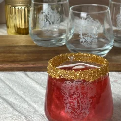 Harry Potter - Gryffindor en Slytherin Glasset