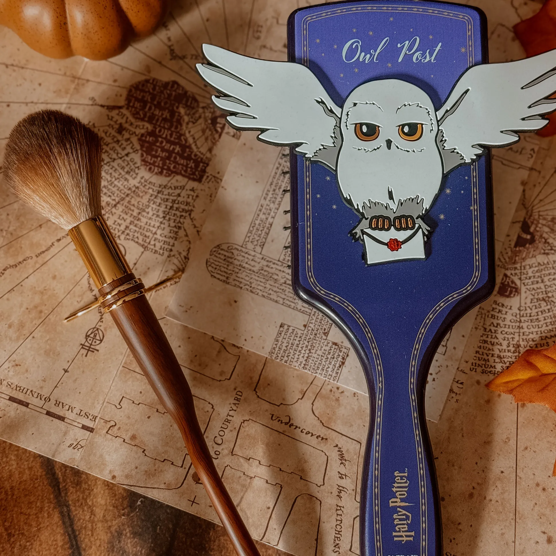 Harry Potter - Hedwig haarborstel