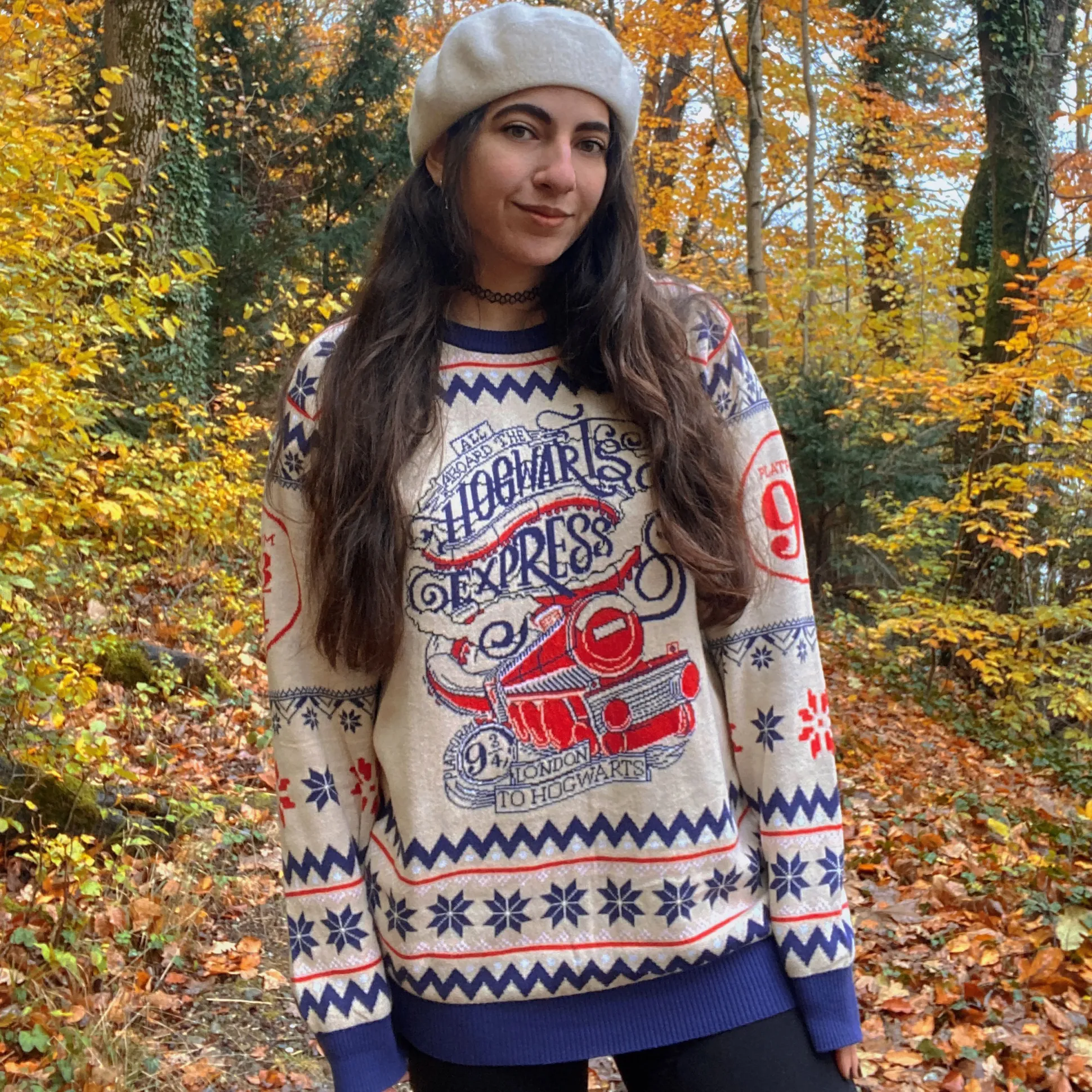 Harry Potter - Hogwarts Express Gebreide Trui
