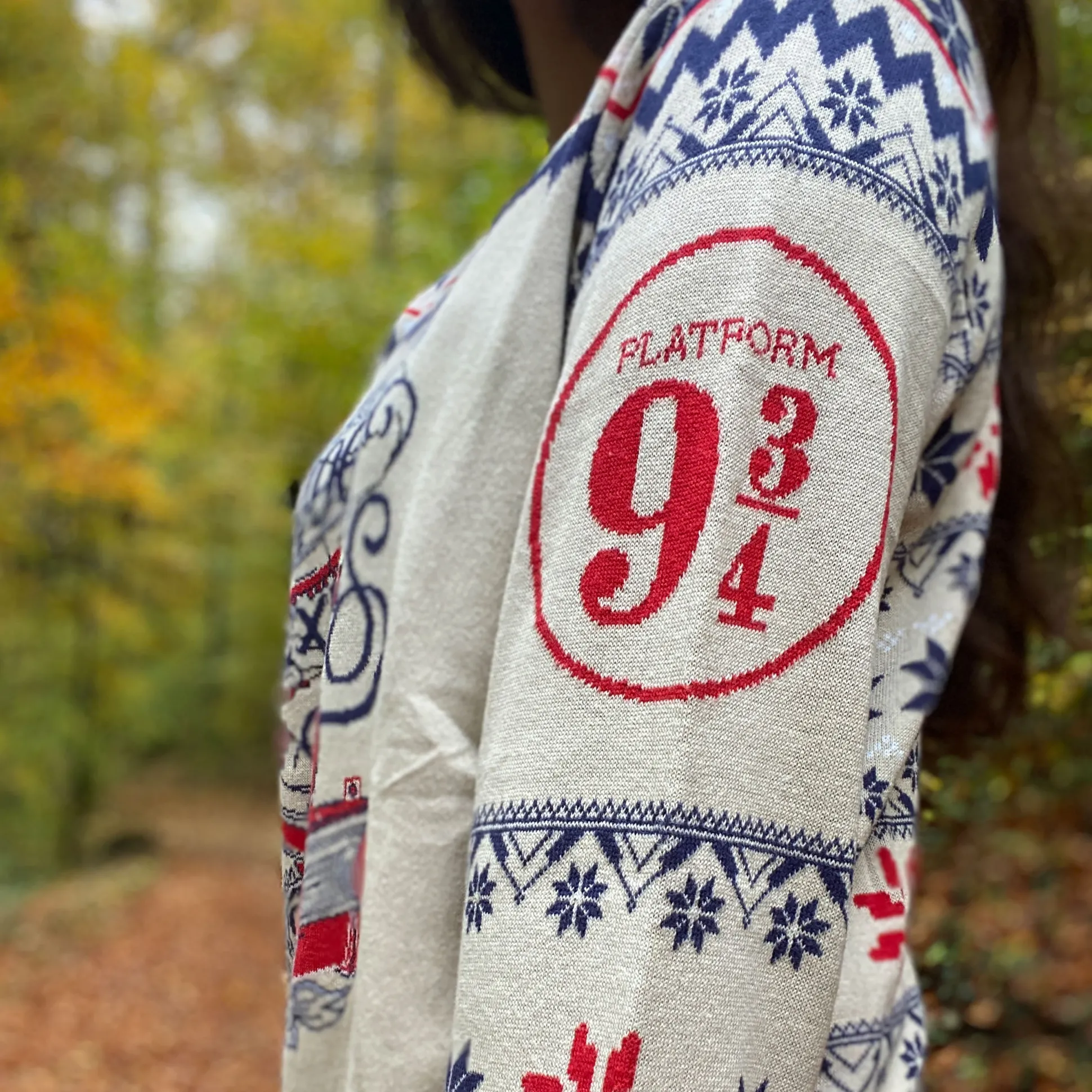 Harry Potter - Hogwarts Express Gebreide Trui