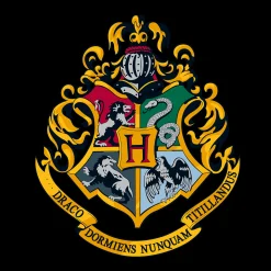 Harry Potter - Hogwarts Hoodie zwart