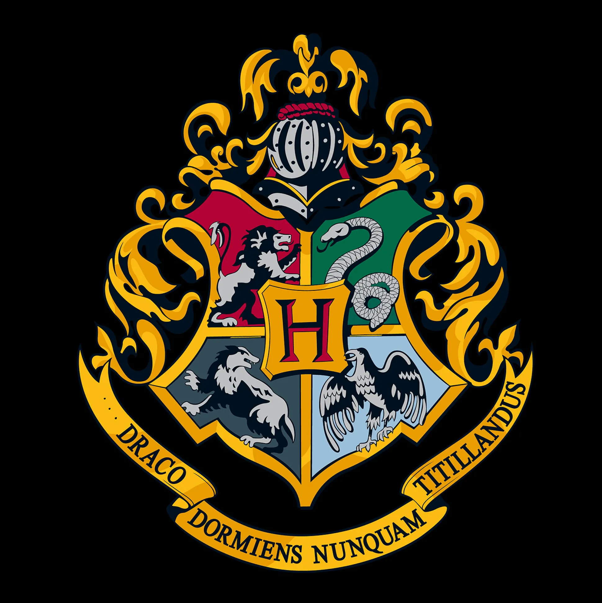 Harry Potter - Hogwarts Hoodie zwart