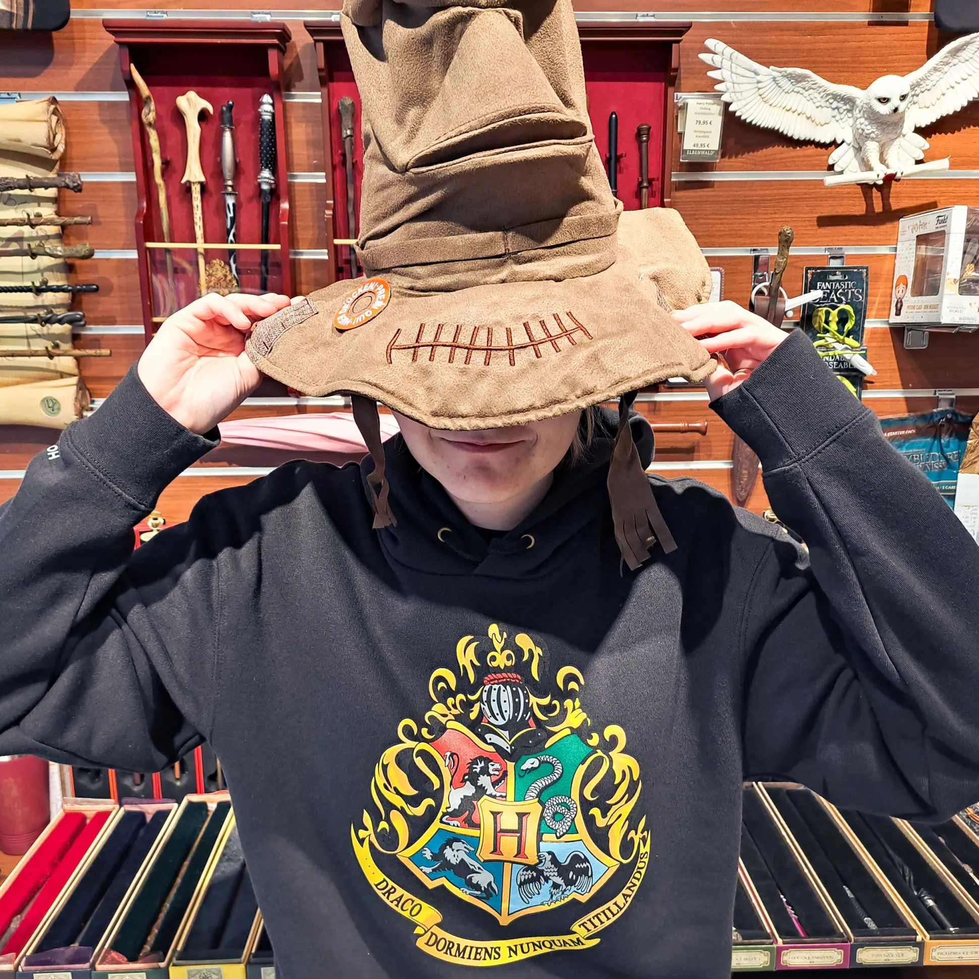 Harry Potter - Hogwarts Hoodie zwart