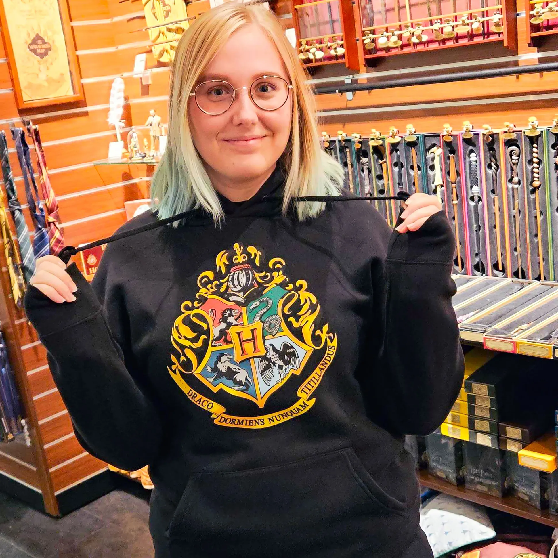 Harry Potter - Hogwarts Hoodie zwart