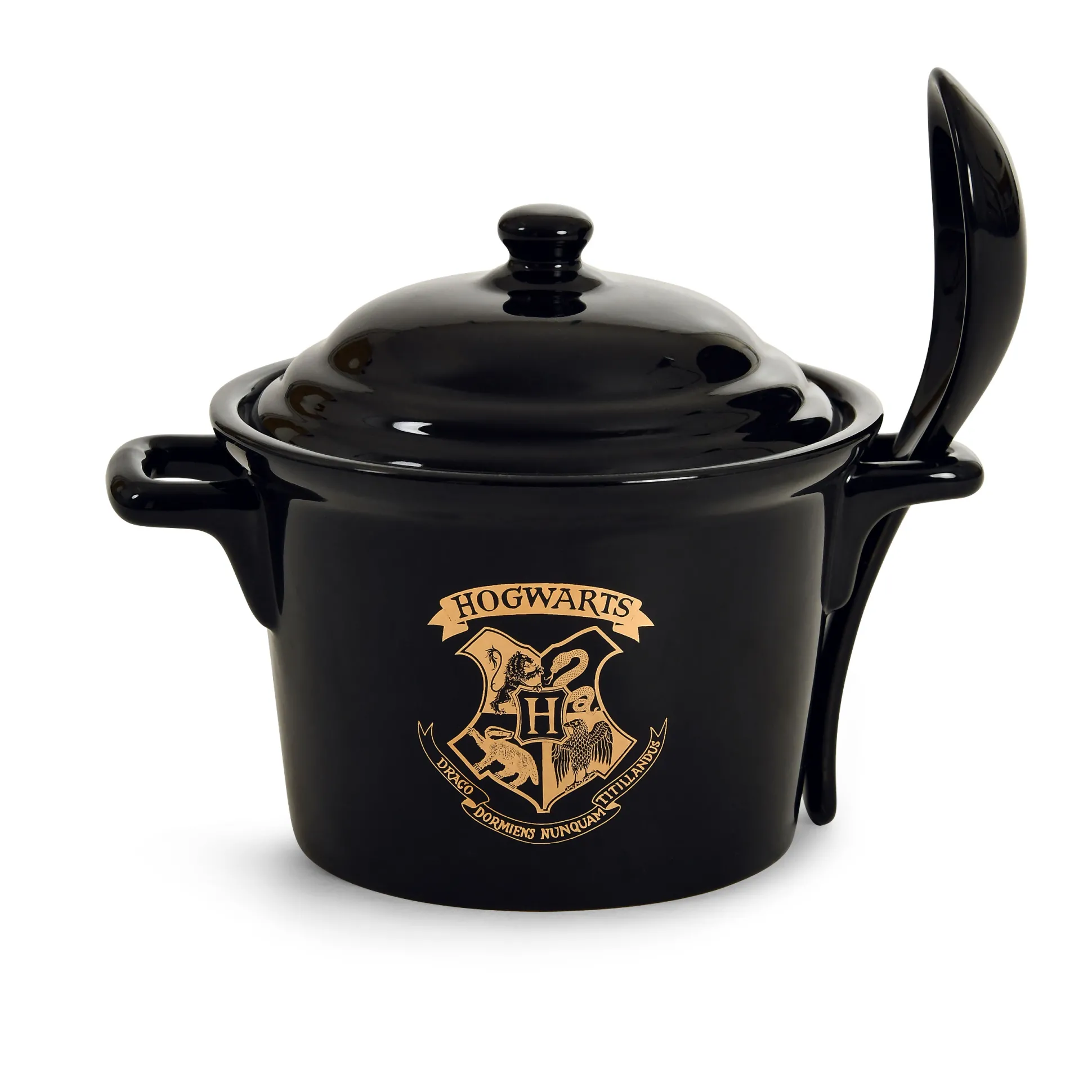 Harry Potter - Hogwarts Ketelkom met Lepel