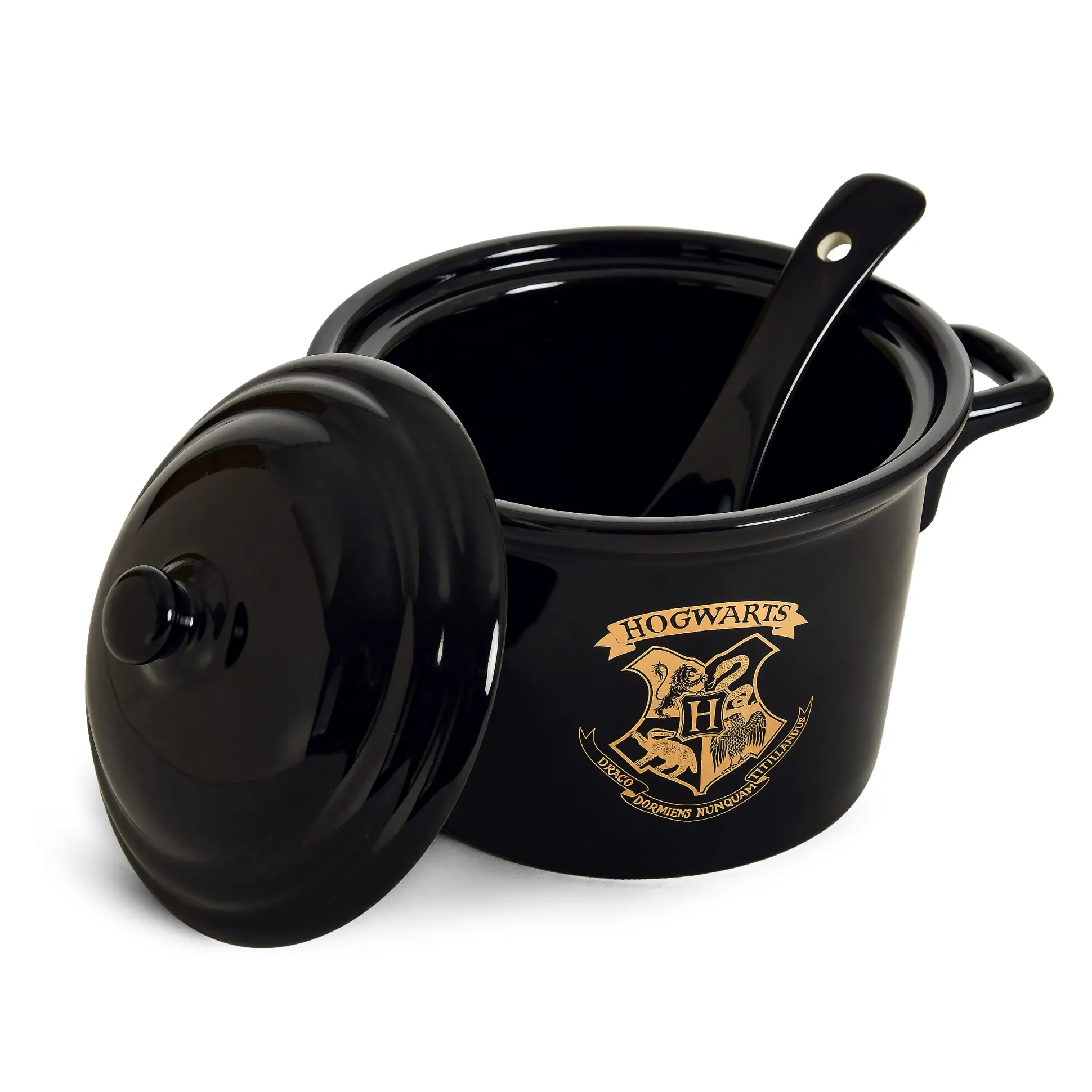 Harry Potter - Hogwarts Ketelkom met Lepel