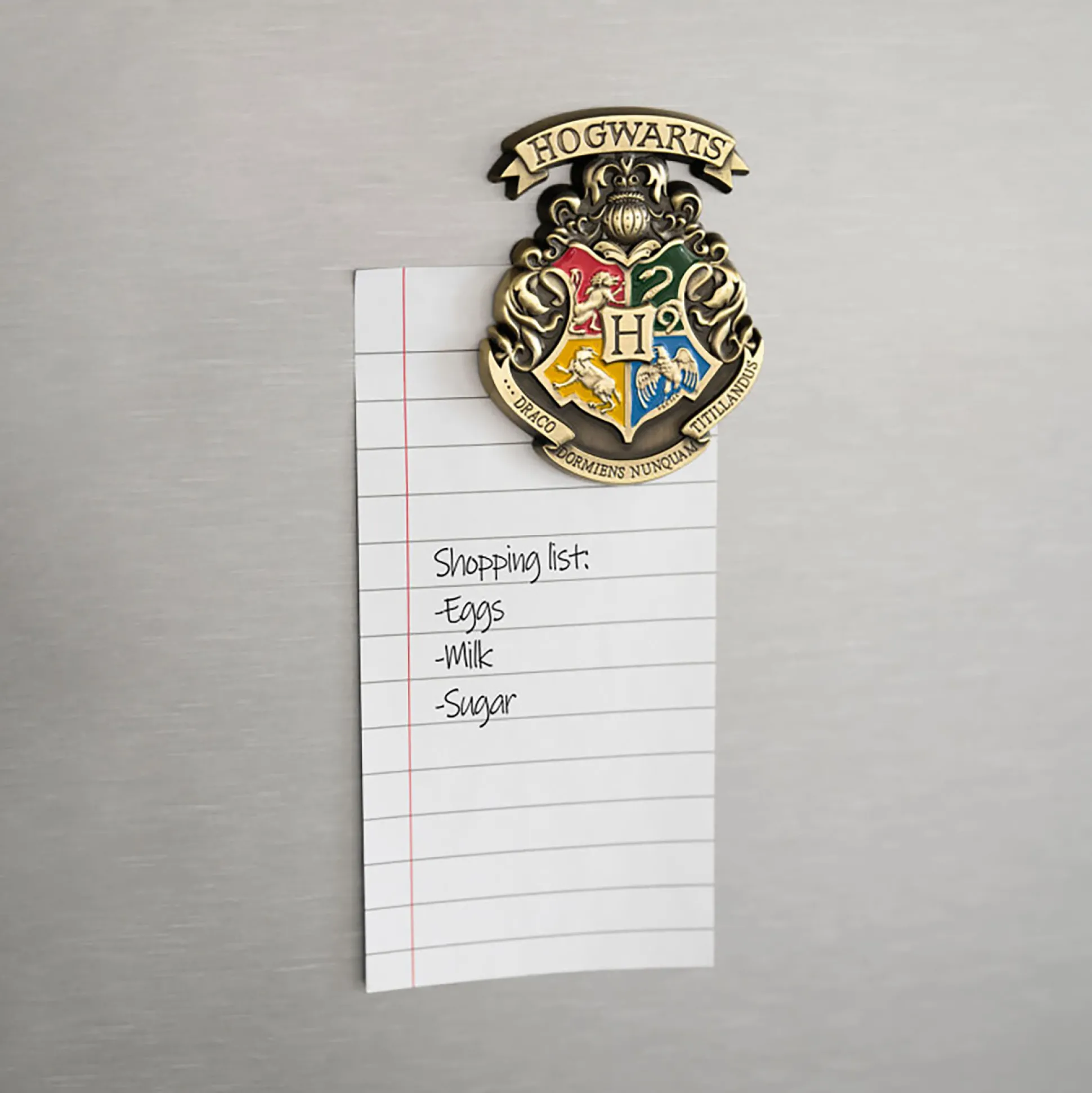 Harry Potter - Hogwarts Magneet