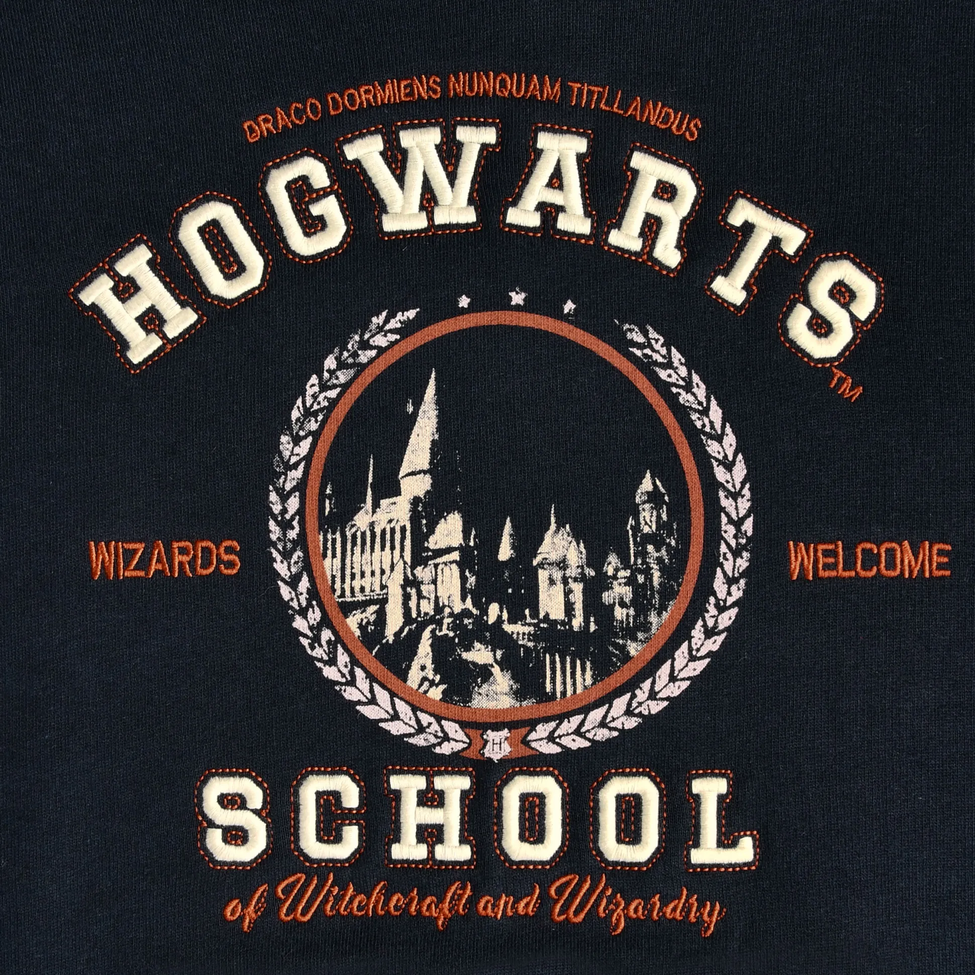 Harry Potter - Hogwarts School Kinder Hoodie Blauw
