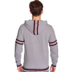 Harry Potter - Hogwarts School Hoodie grijs