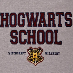 Harry Potter - Hogwarts School Hoodie grijs