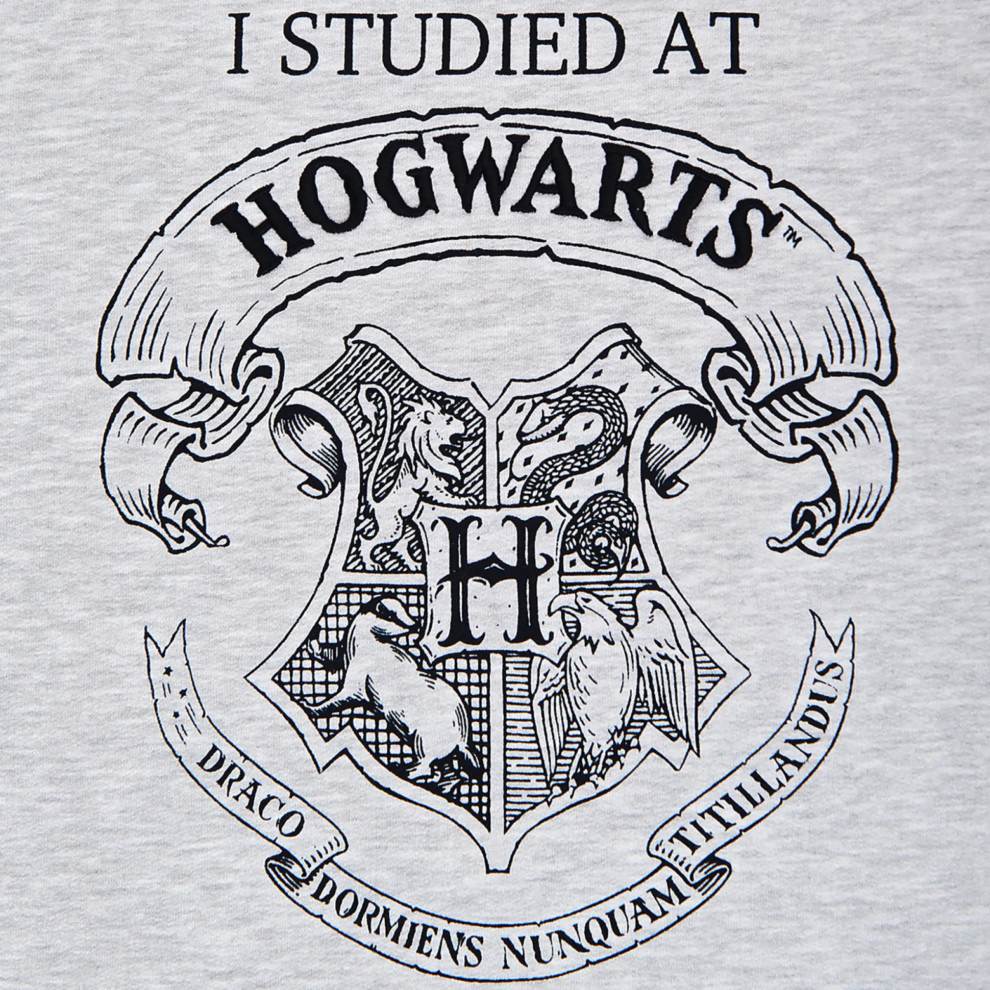 Harry Potter - Ik heb gestudeerd aan Hogwarts Dames Sweater grijs