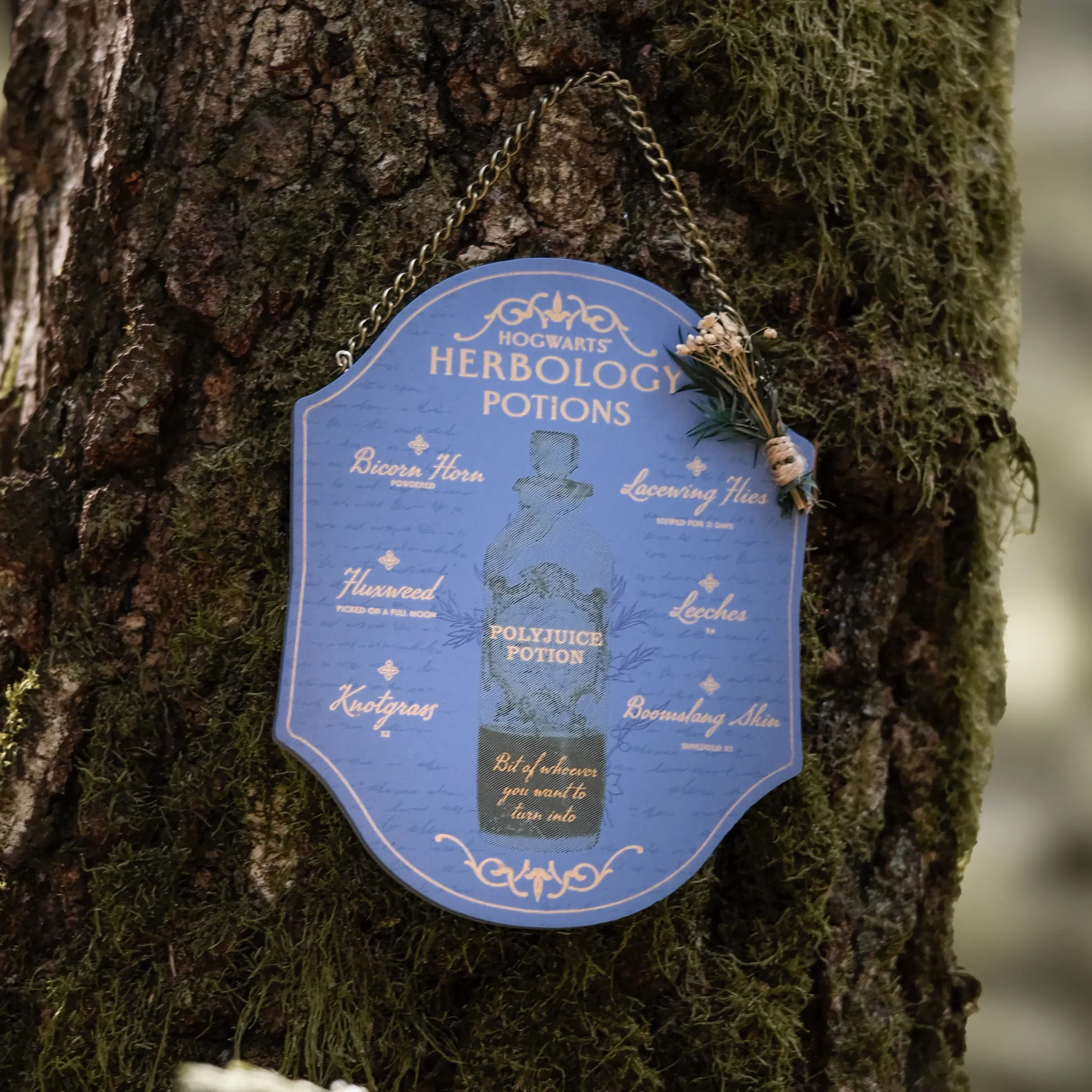 Harry Potter - Kruidenkunde en Toverdranken Houten Wanddecoratie