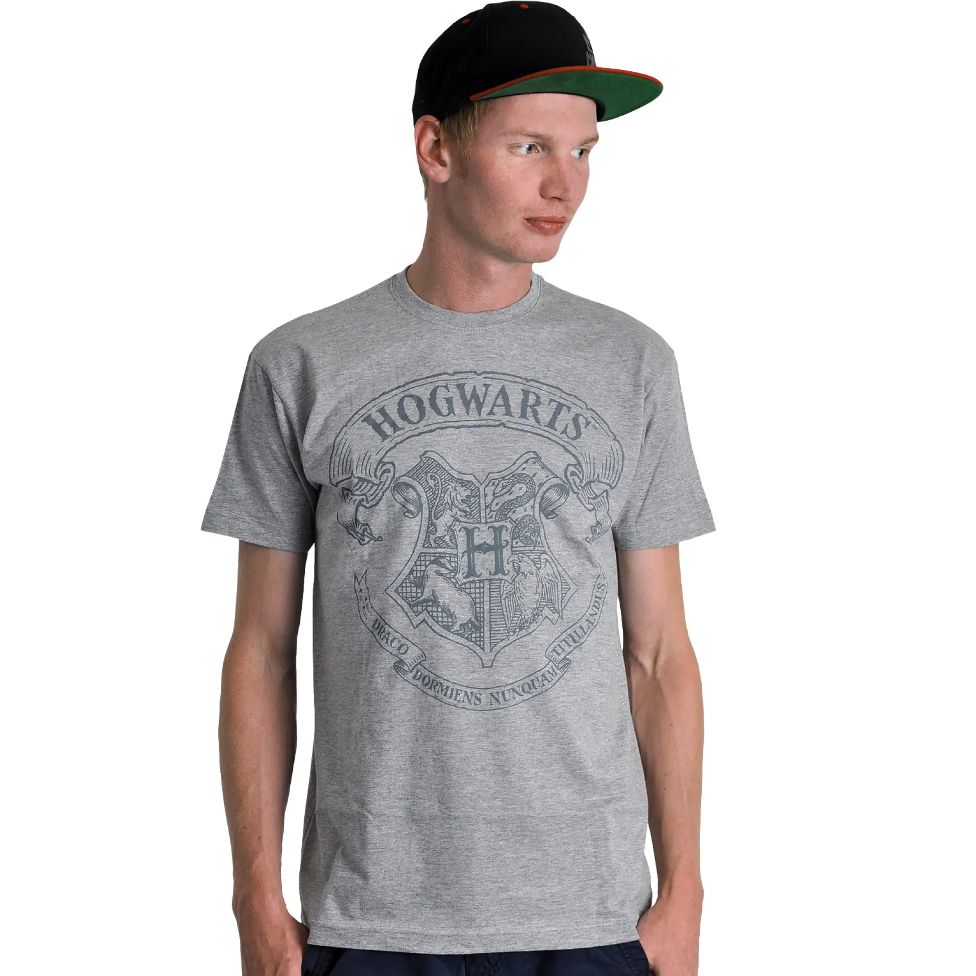 Harry Potter - Logo T-Shirt Grijs