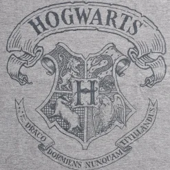 Harry Potter - Logo T-Shirt Grijs