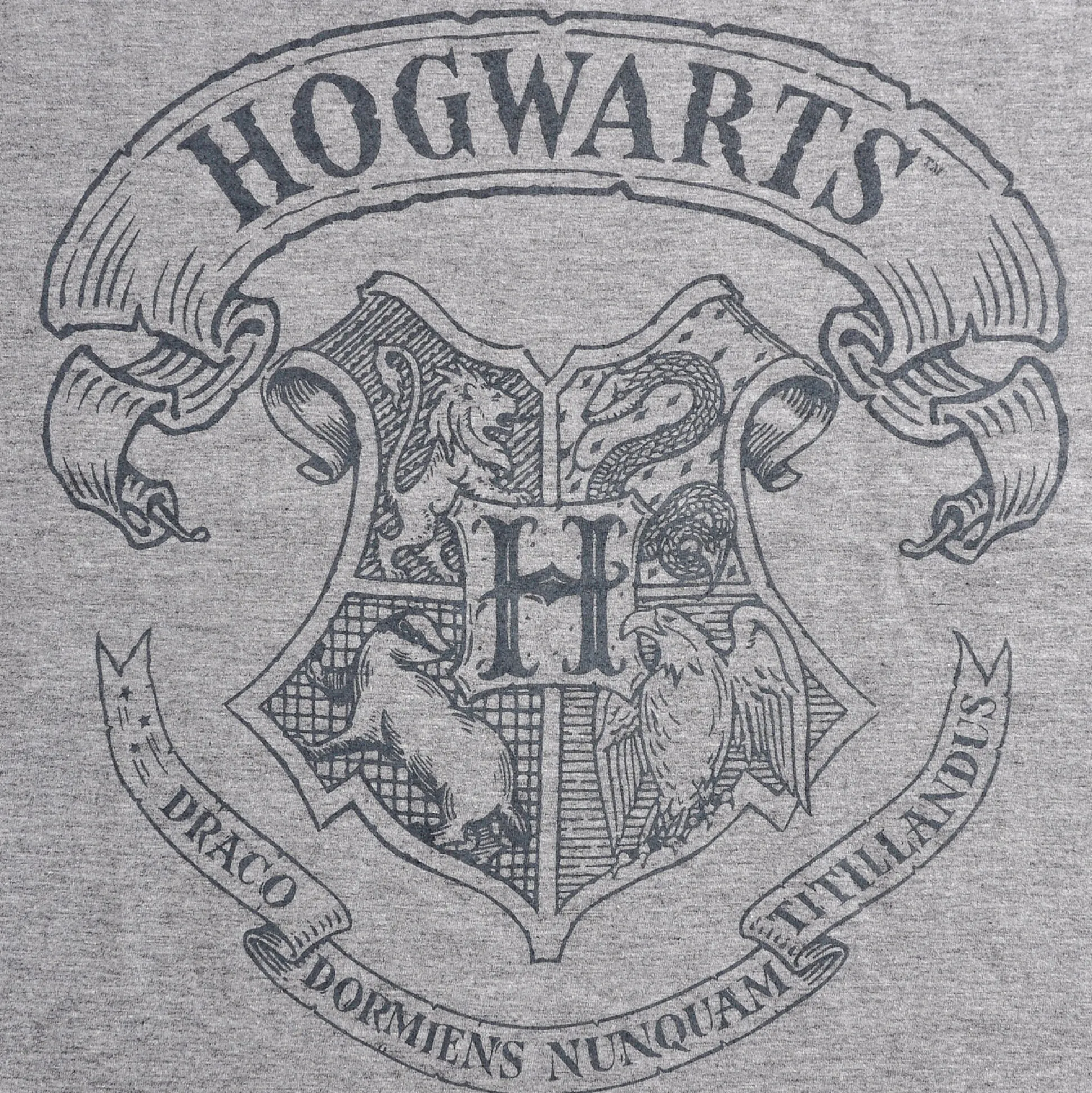 Harry Potter - Logo T-Shirt Grijs