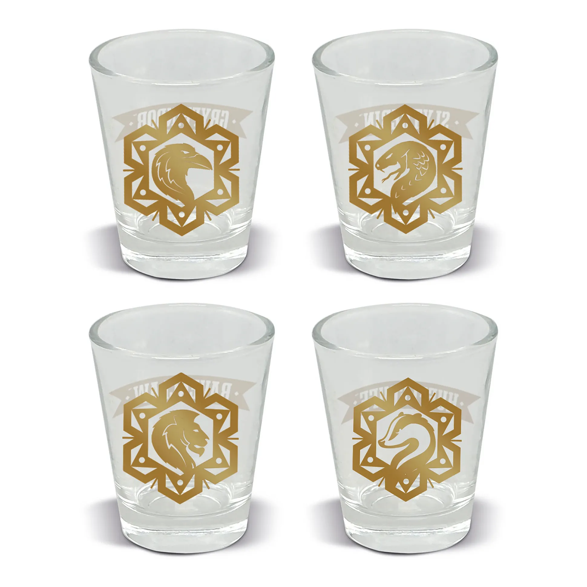 Harry Potter - Magic and Mayhem glazen set van 4