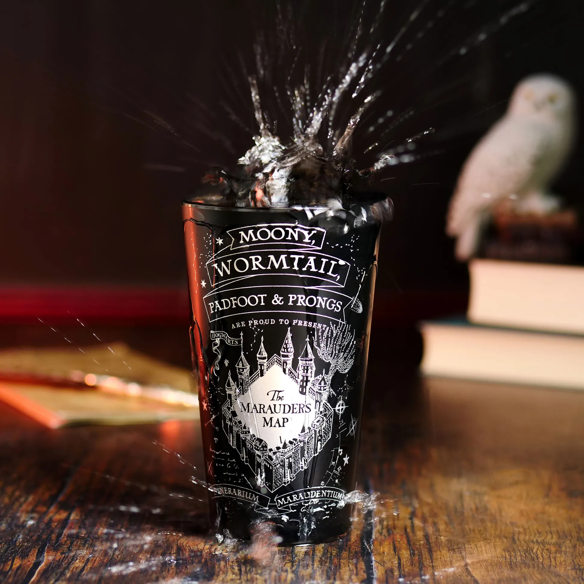 Harry Potter - Marauder's Map Glas zwart