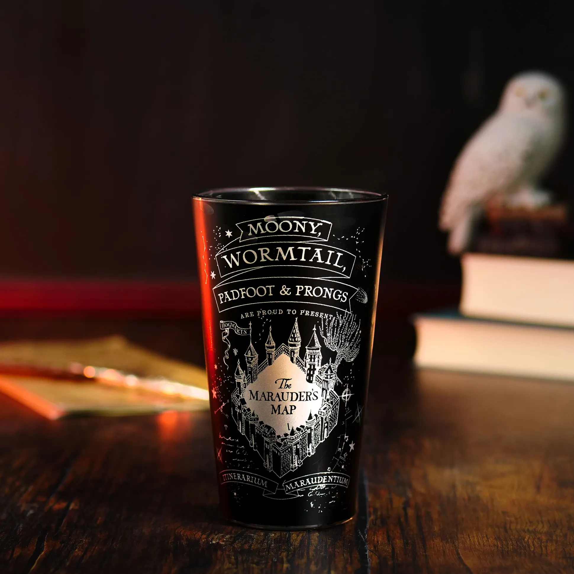 Harry Potter - Marauder's Map Glas zwart