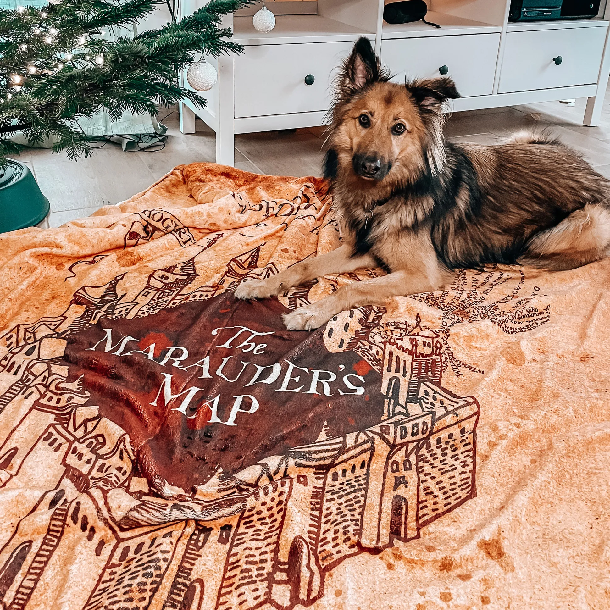 Harry Potter - Marauders Map Pluizige Deken met Teddybont