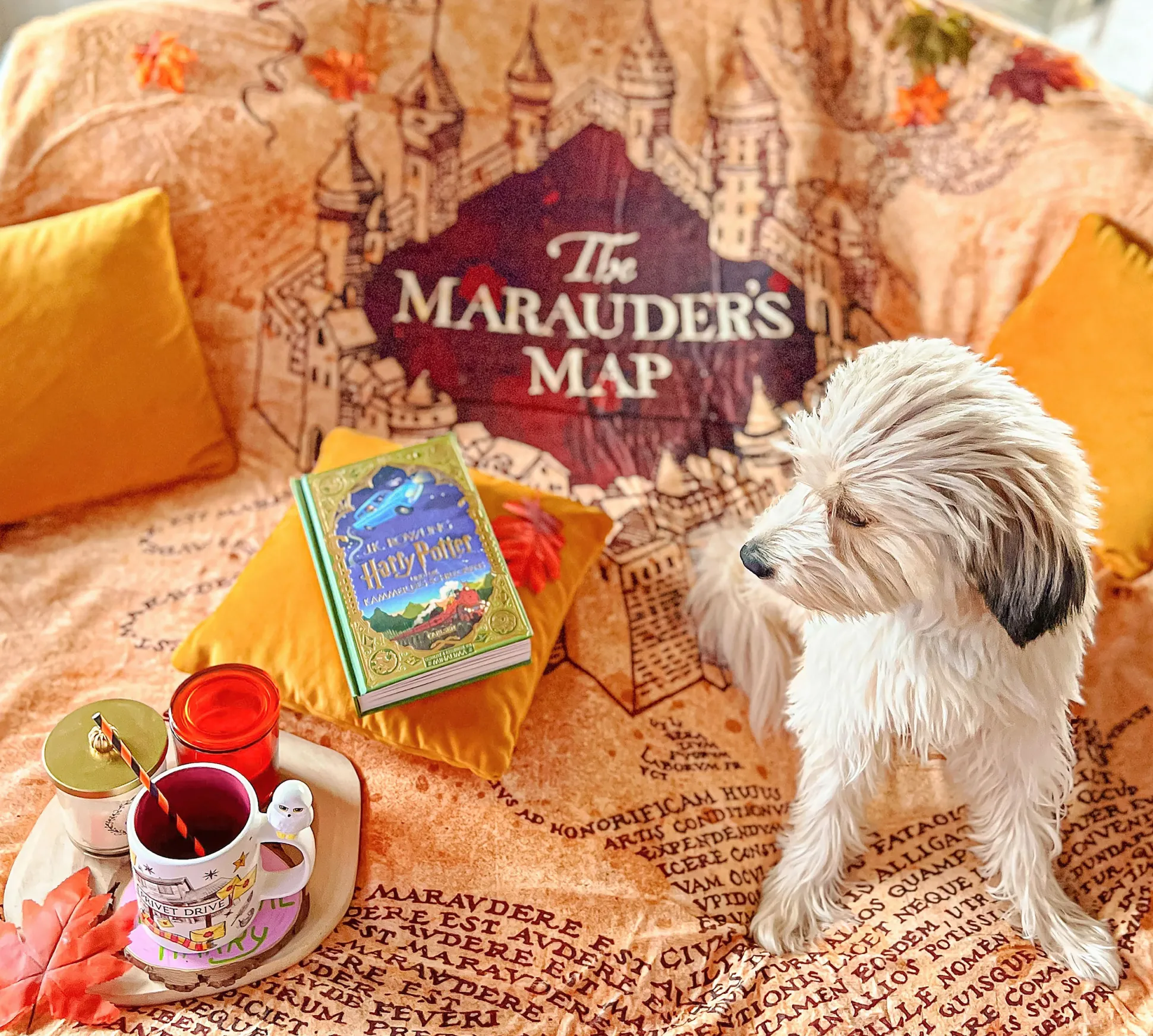 Harry Potter - Marauders Map Pluizige Deken met Teddybont