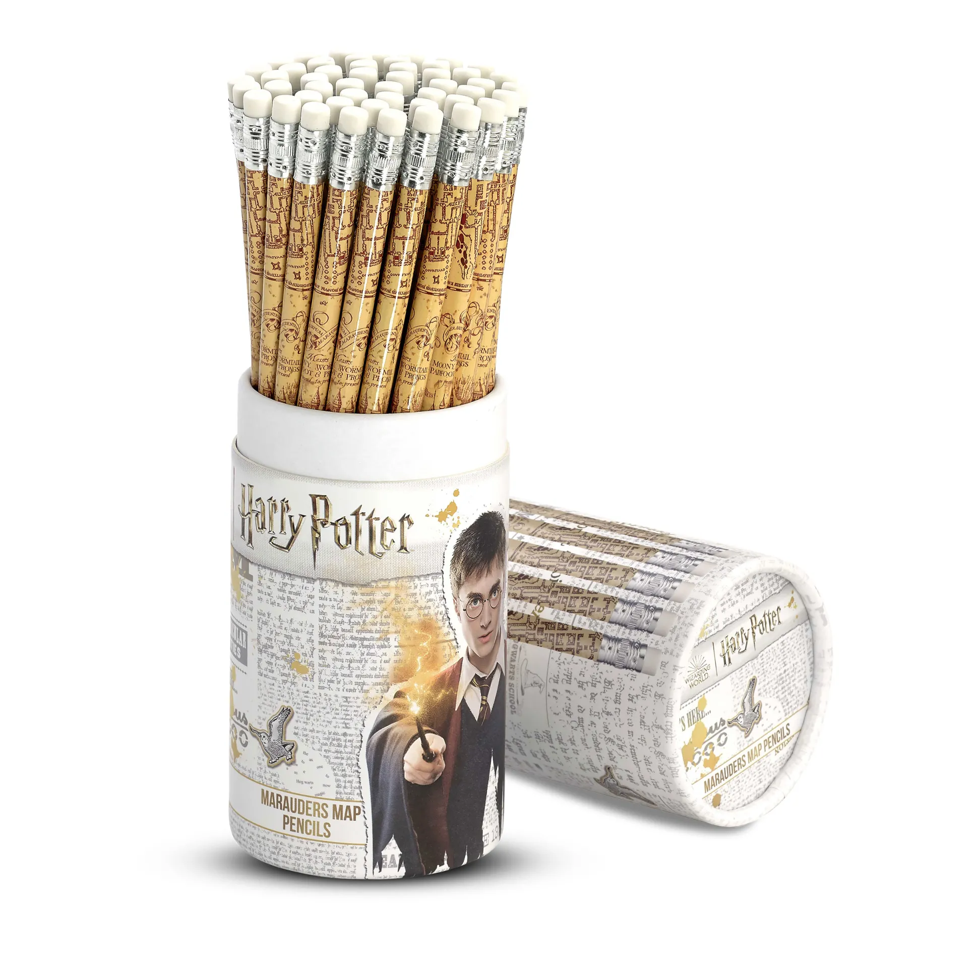 Harry Potter - Marauders Map Potlooddoos