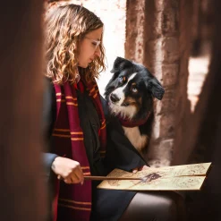 Harry Potter - Originele Gryffindor Wollen Sjaal