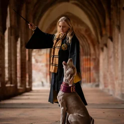 Harry Potter - Originele Hufflepuff Wollen Sjaal