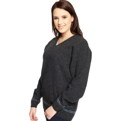 Harry Potter - Ravenclaw Trui