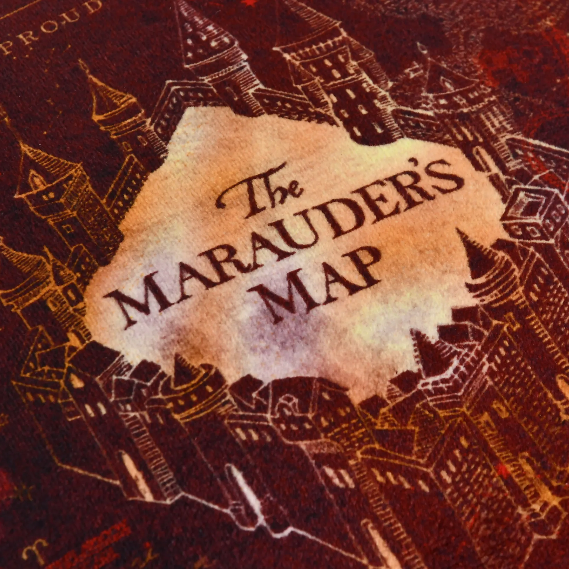 Harry Potter - Sluipwegwijzer Kussen