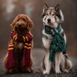 Harry Potter - Slytherin Gebreide Sjaal Grijs-Groen