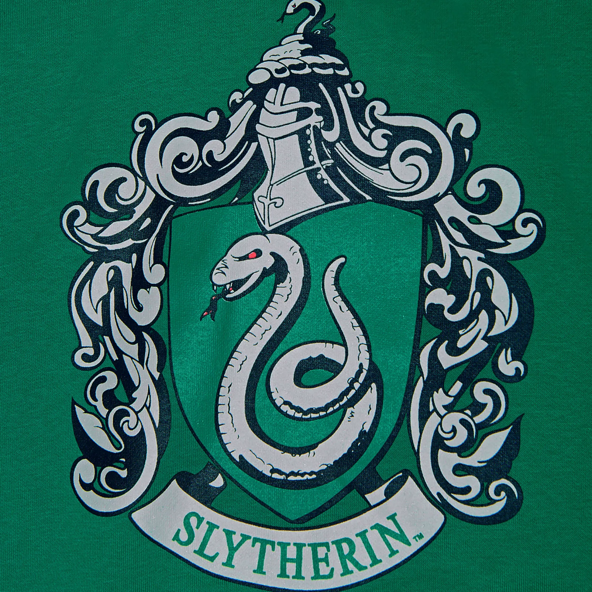 Harry Potter - Slytherin Wapen Hoodie