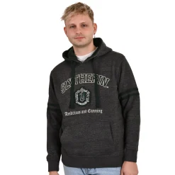 Harry Potter - Slytherin Wapen Premium Hoodie grijs